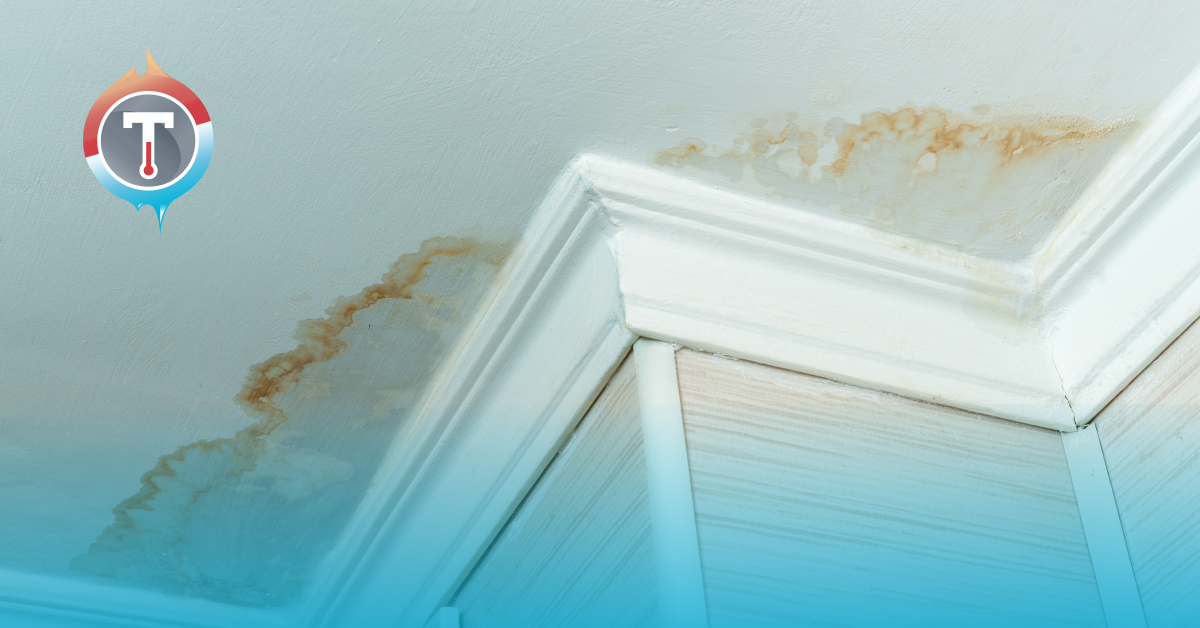 Can Bad Plumbing Make You Sick?